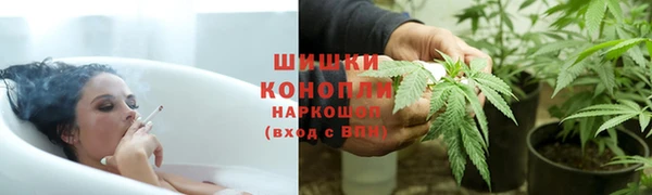 эйфоретик Белокуриха