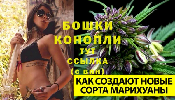 эйфоретик Белокуриха