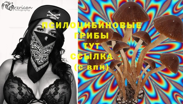 эйфоретик Белокуриха