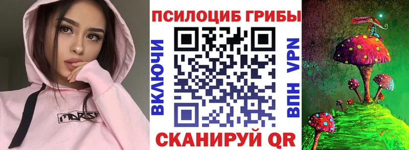Галлюциногенные грибы Psilocybine cubensis  Ачхой-Мартан 
